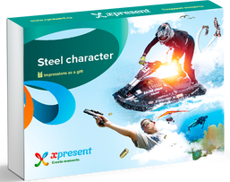 Steel character